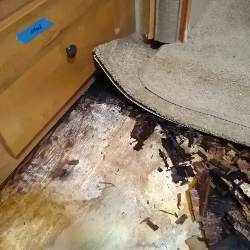 Wood Floor Water Damage in Oakland, OK